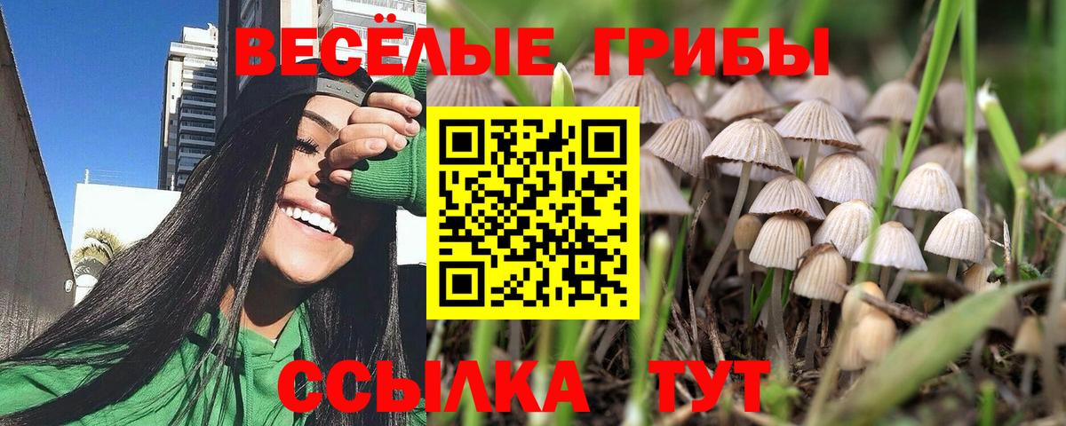 Галлюциногенные грибы Magic Shrooms  Галлюциногенные грибы прущие грибы  Вход с VPN  Донецк 